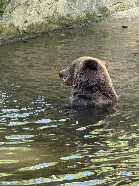 Wildpark Schwarze Berge