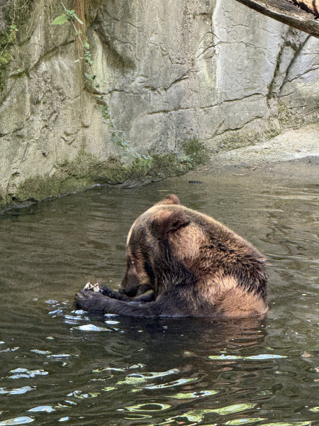 Wildpark Schwarze Berge
